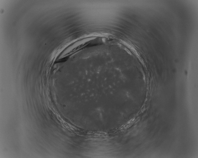 X0000066930337200603311357