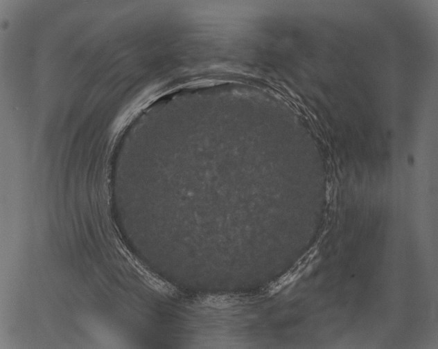 X0000066930341200603311357