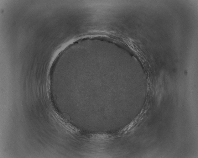 X0000066930342200603311357