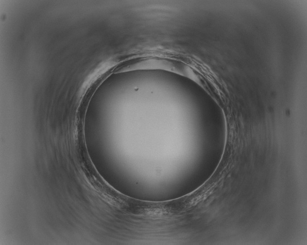 X0000066930344200603311357