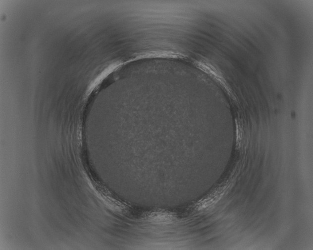 X0000066930348200603311357