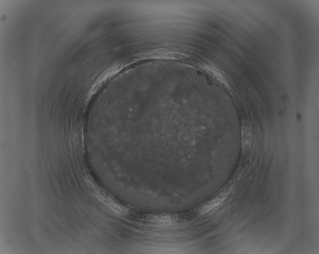 X0000066930349200603311357