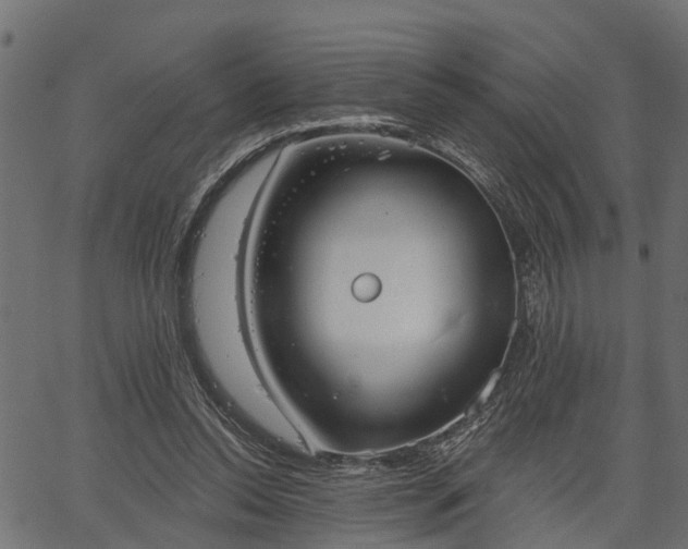 X0000066930350200603311357