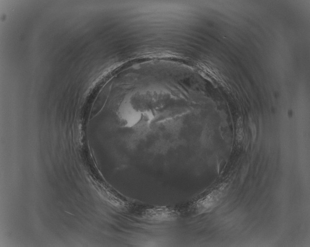 X0000066930351200603311357