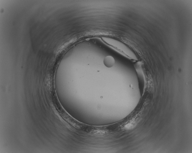 X0000066930352200603311357