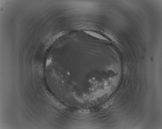 X0000066930353200603311357