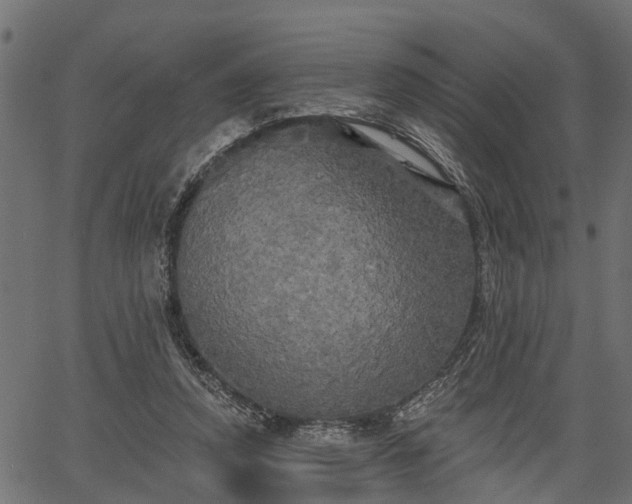 X0000066930354200603311357