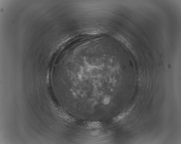 X0000066930355200603311357