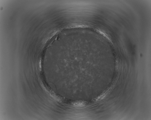 X0000066930358200603311358