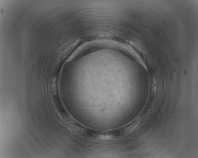 X0000066930360200603311358