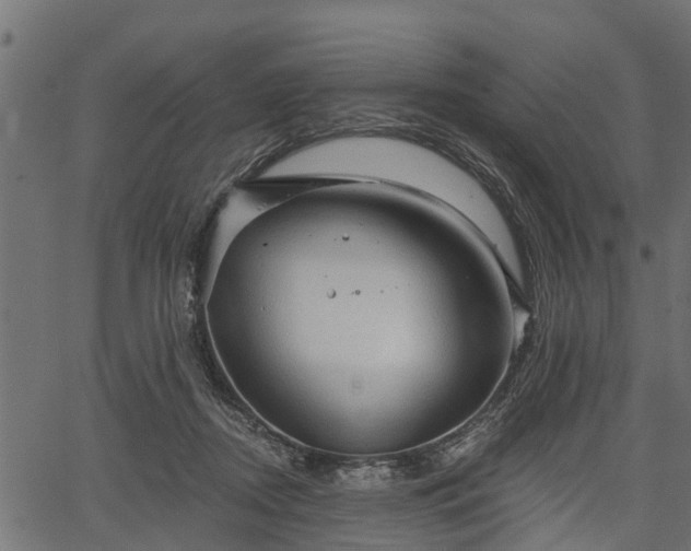 X0000066930362200603311358