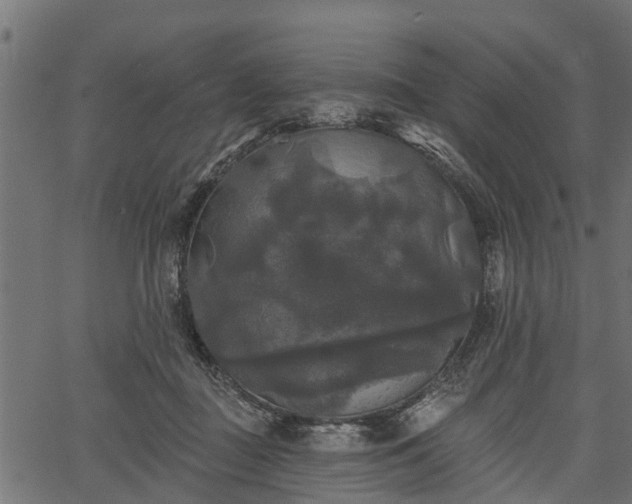 X0000066930363200603311358