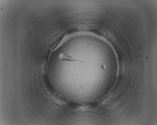 X0000066930364200603311358