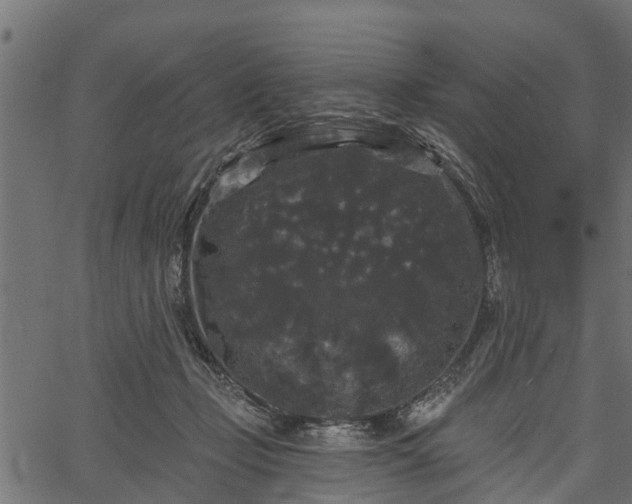 X0000066930365200603311358