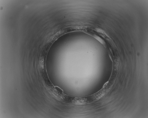 X0000066930368200603311358