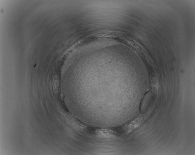 X0000066930372200603311358