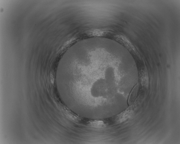 X0000066930374200603311358