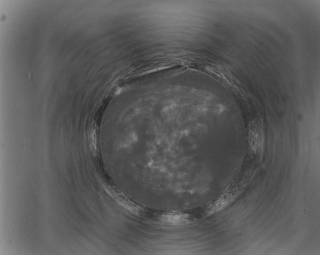 X0000066930375200603311358