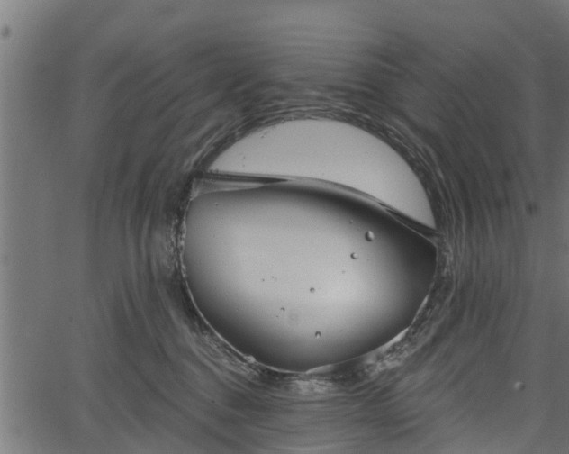 X0000066930376200603311358