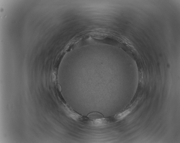 X0000066930382200603311358