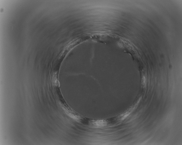 X0000066930383200603311358