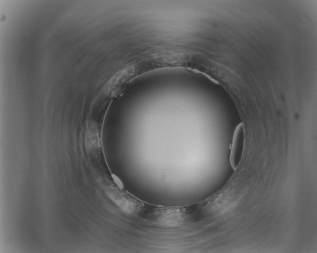 X0000066930384200603311358