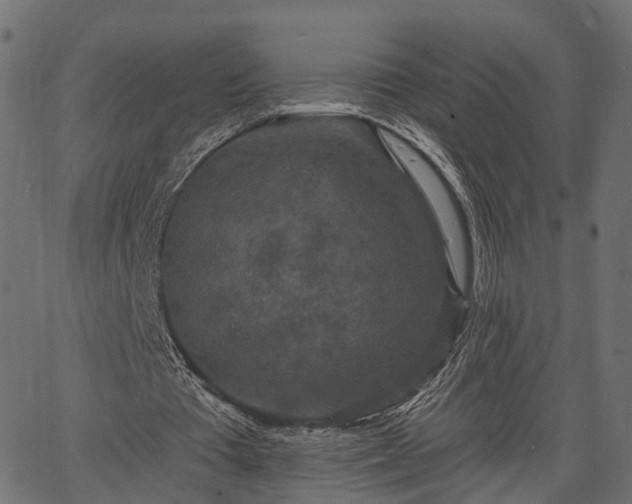 X0000066930385200603311357