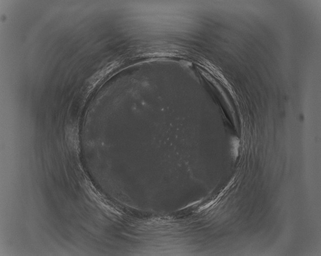 X0000066930386200603311357