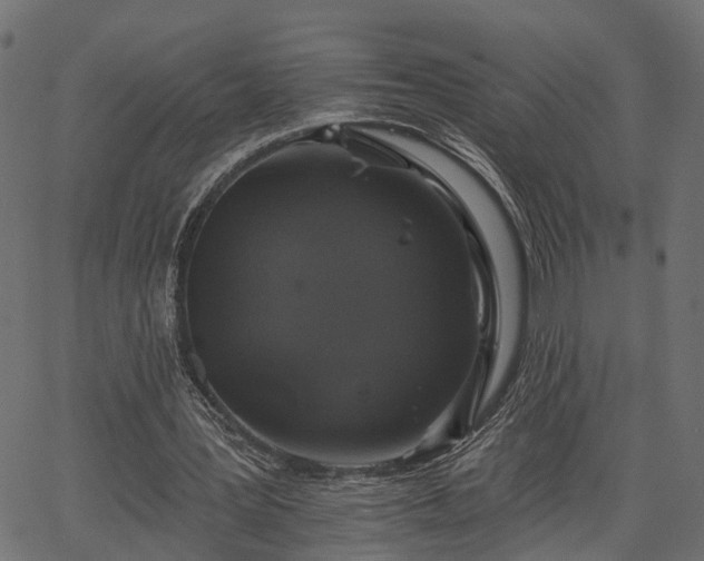 X0000066930387200603311357