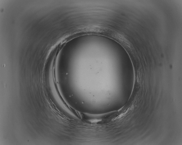 X0000066930388200603311357