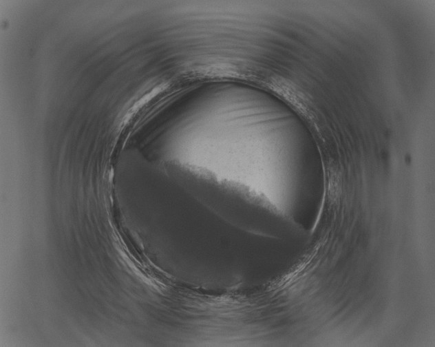 X0000066930390200603311357