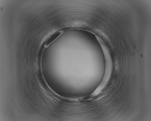 X0000066930392200603311357