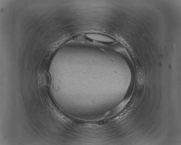 X0000066930393200603311357