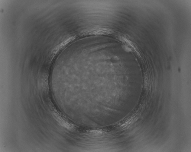 X0000066930394200603311357