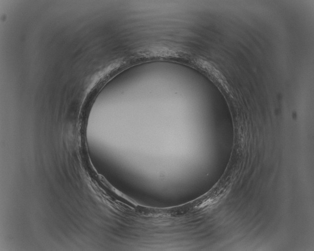 X0000066930395200603311357