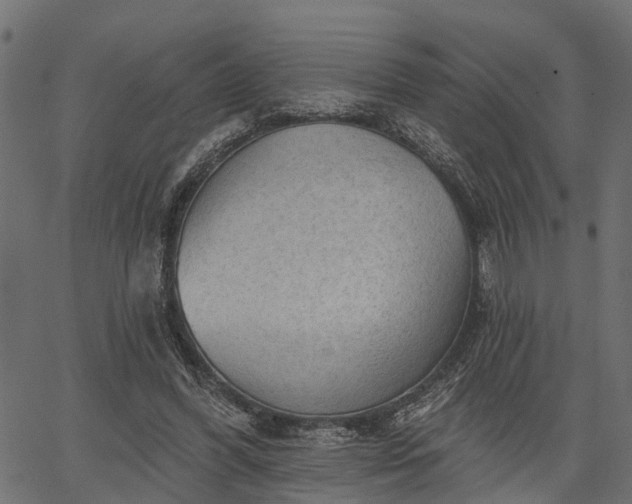 X0000066930396200603311357