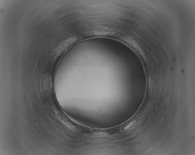 X0000066930397200603311357