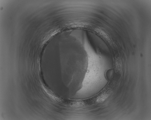 X0000066930398200603311357