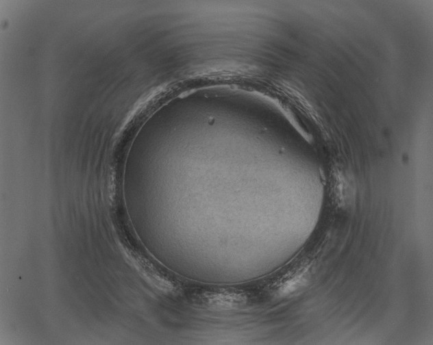 X0000066930400200603311357