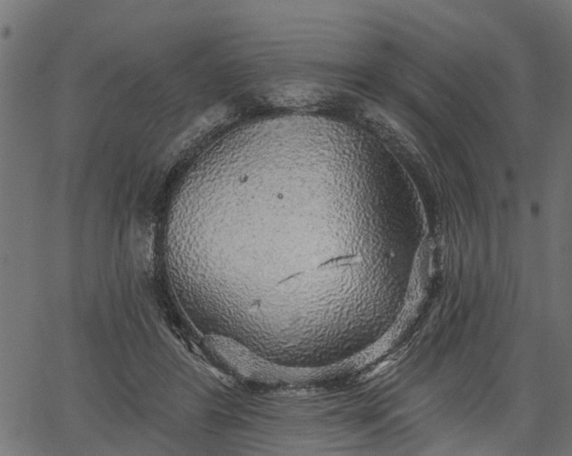 X0000066930404200603311357