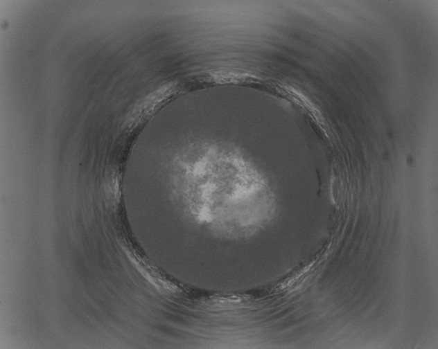 X0000066930405200603311357