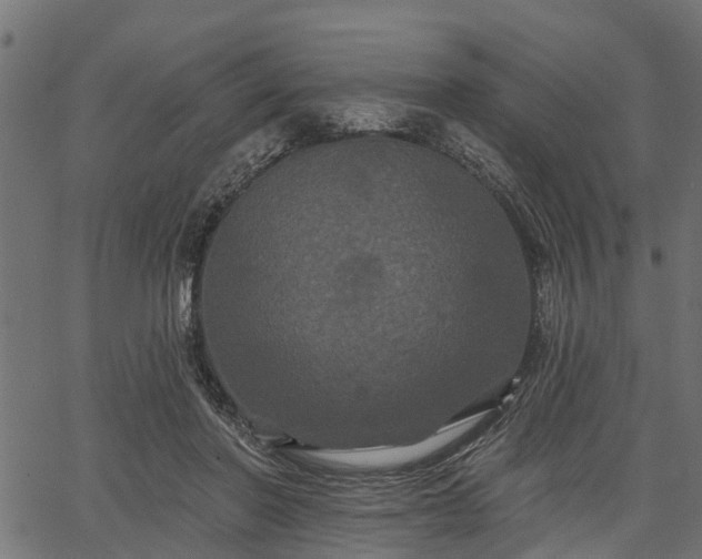 X0000066930406200603311357