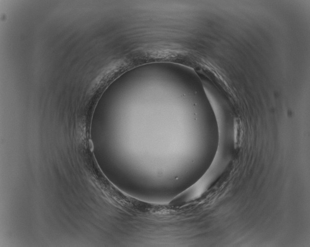 X0000066930407200603311357