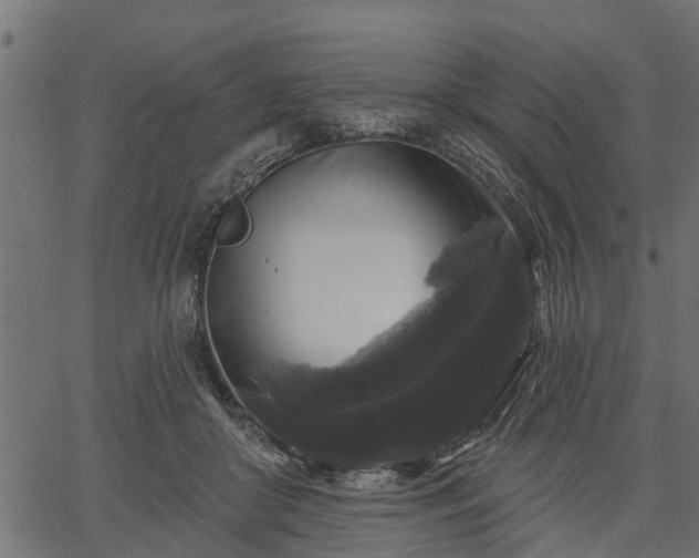 X0000066930410200603311357