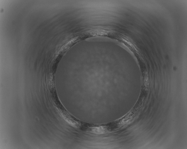 X0000066930411200603311357