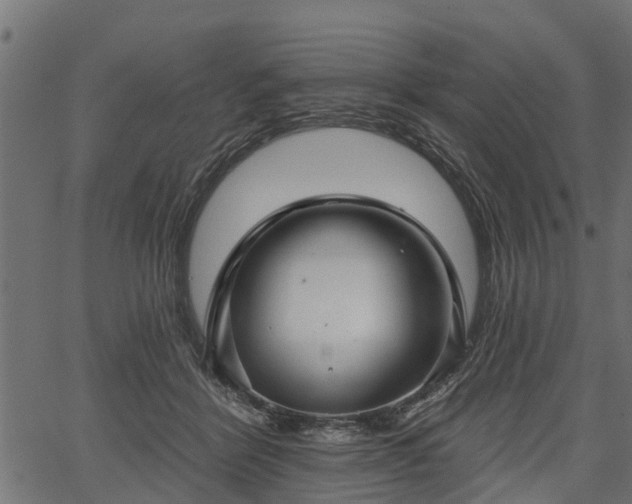 X0000066930412200603311357