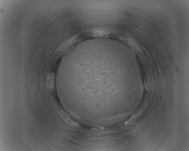 X0000066930413200603311357