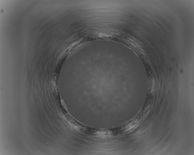 X0000066930415200603311357