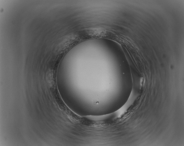 X0000066930416200603311357