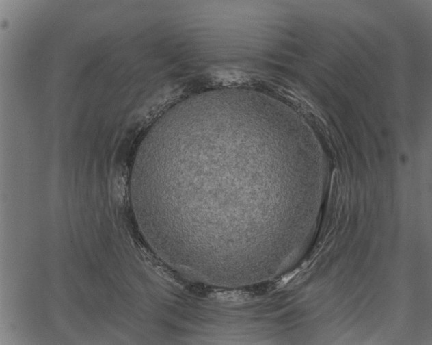 X0000066930417200603311357